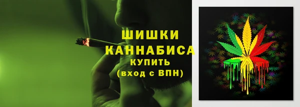 ECSTASY Богородицк